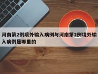 河南第2例境外输入病例与河南第2例境外输入病例是哪里的